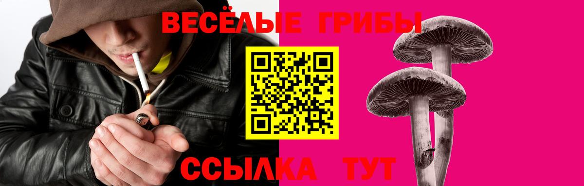 Галлюциногенные грибы Psilocybe Рыбинск